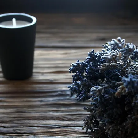 펜션 Dom W Krate - Kolo Karpacza 웜니차