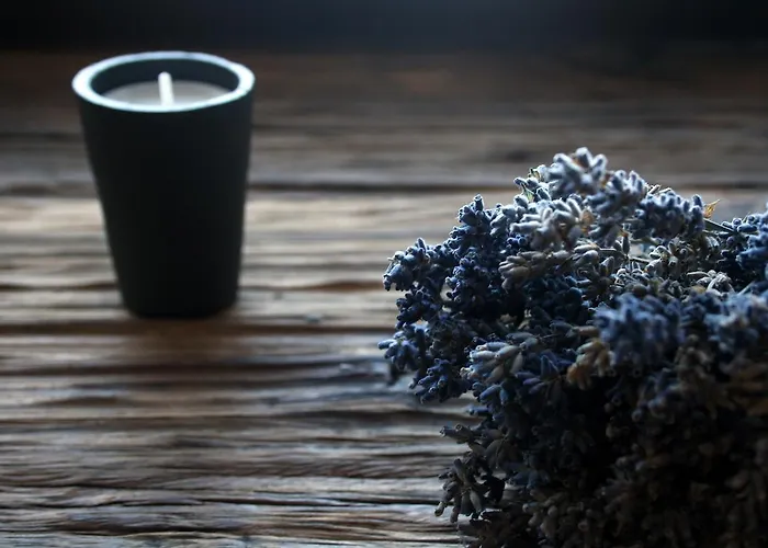 Semesterbostad Dom W Krate - Kolo Karpacza Lomnica (Jelenia Gora)